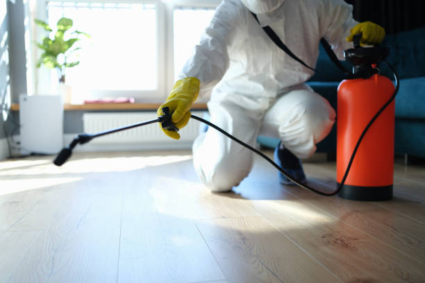 Reliable Hoarding Cleanup contractor in Georgetown, CO by Trauma Clean Pros
